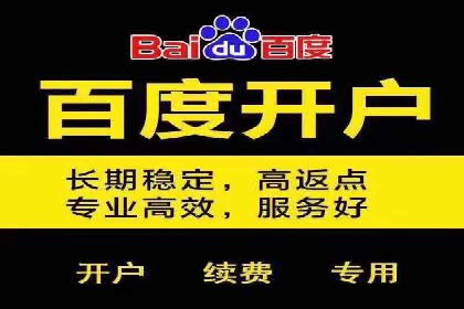 行业领先企业如何运用百度SEM推广提升品牌影响力？